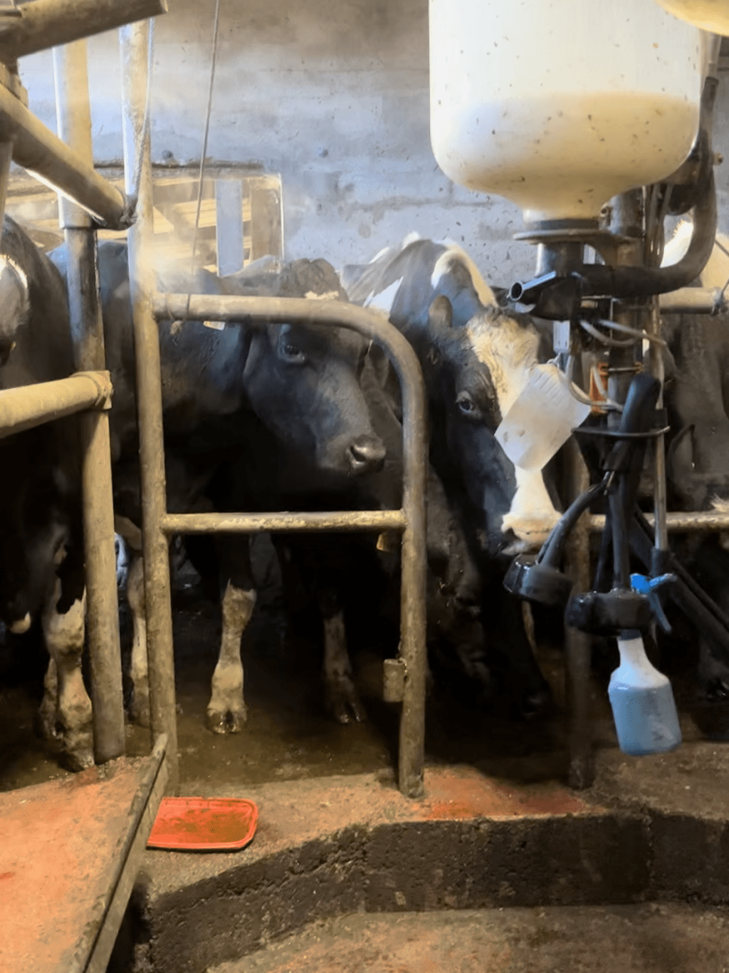 Thoughts for The&nbsp;Day