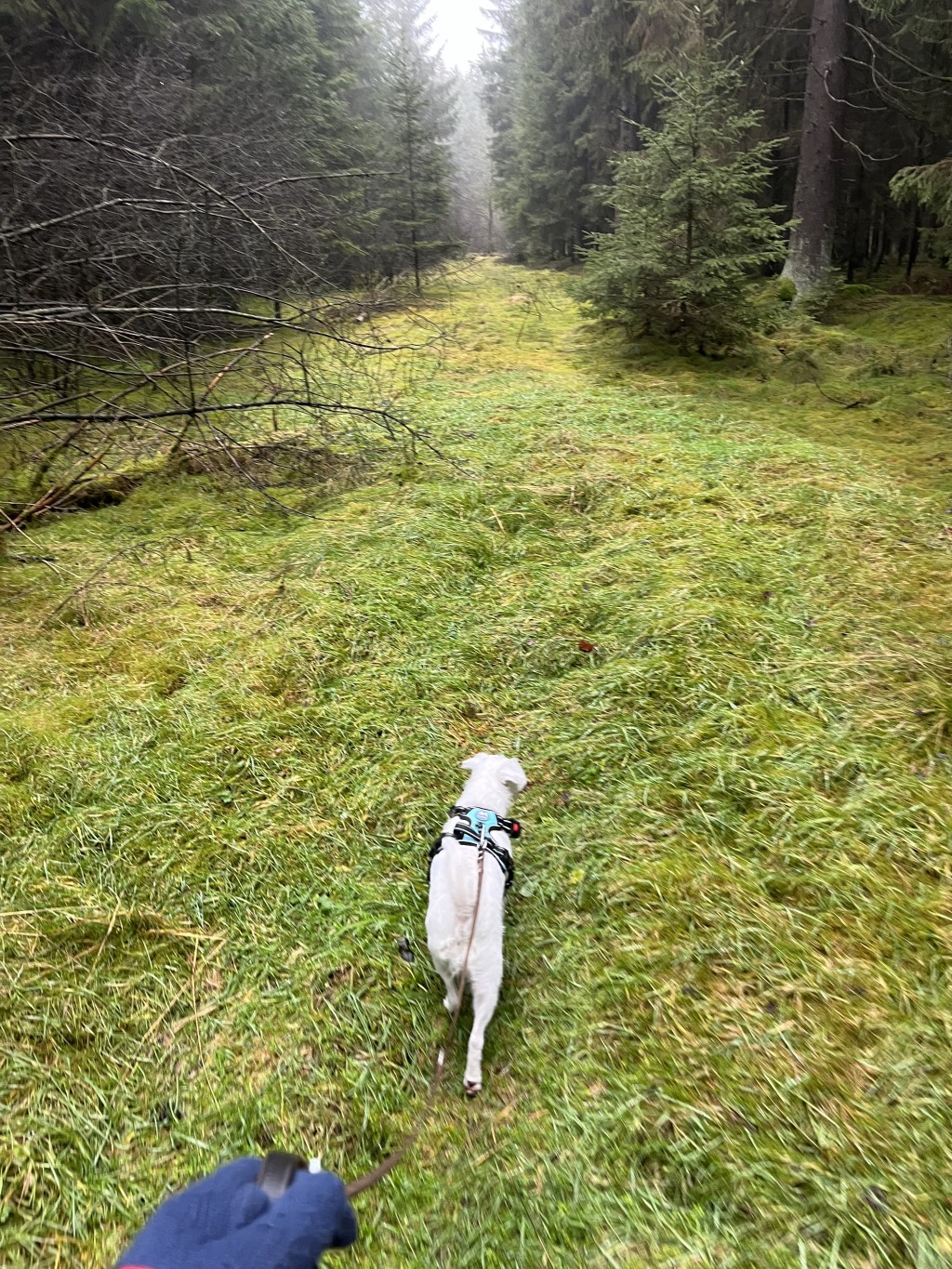 ♫Oh Little Town in Bavaria♫- PART&nbsp;1